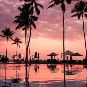 Meet your Posher, Breanna